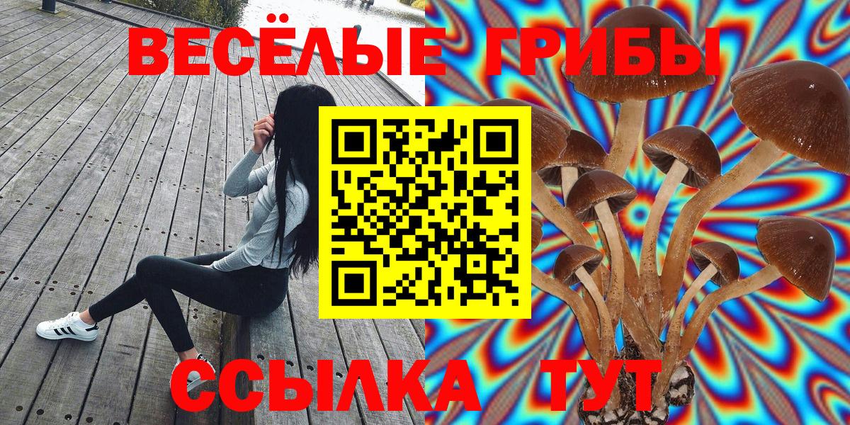 Псилоцибиновые грибы ЛСД  Вход с VPN  где купить наркоту  Чайковский 